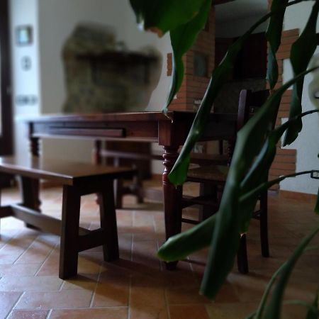 Agriturismo Il Pozzo Campagnatico ภายนอก รูปภาพ