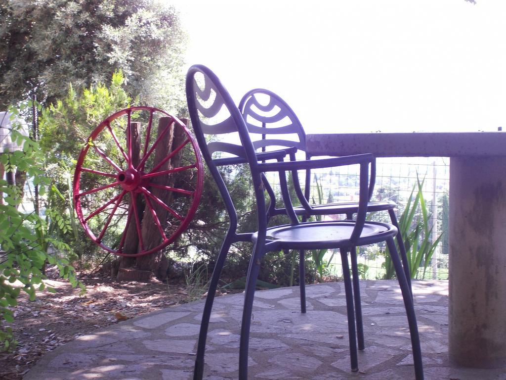 Agriturismo Il Pozzo Campagnatico ห้อง รูปภาพ