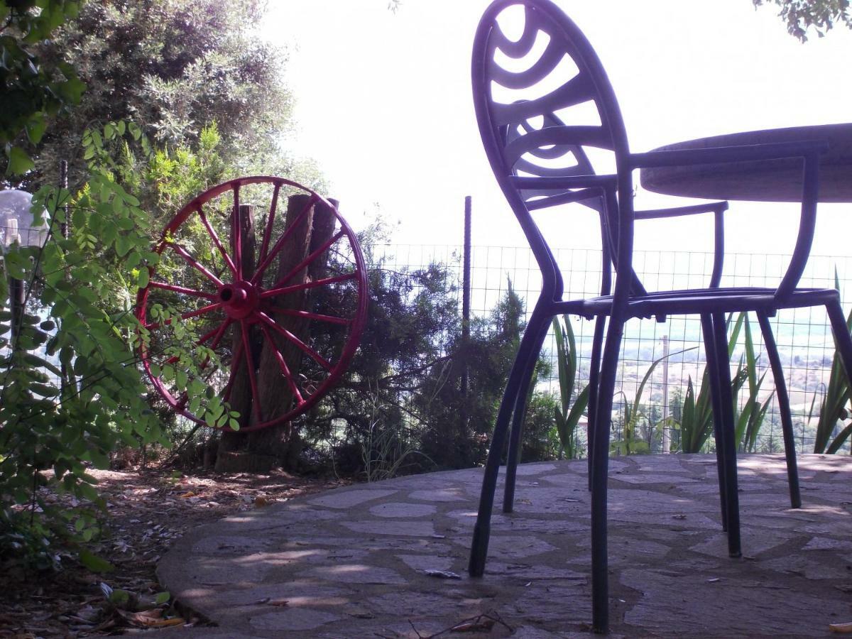 Agriturismo Il Pozzo Campagnatico ภายนอก รูปภาพ